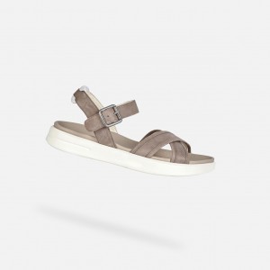 Geox Xand 2s Sandalen Damen Grau | AXUT-38045